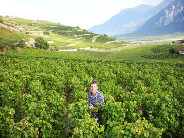 Weinfilter Pumpe mit Filterschichten im Einsatz im Schweizer Weinanbaugebiet Salgesch