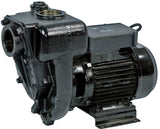 Kreiselpumpe, 230 Volt, max. 300 l/min, max. 10 bar, selbstansaugend, Diesel