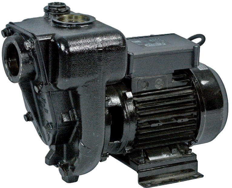 Kreiselpumpe, 230 Volt, max. 300 l/min, max. 10 bar, selbstansaugend, Diesel