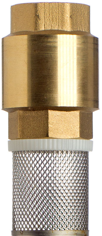 Rückschlagventil 1 1/4 Zoll, Messing, Edelstahl Saugkorb, Wasser