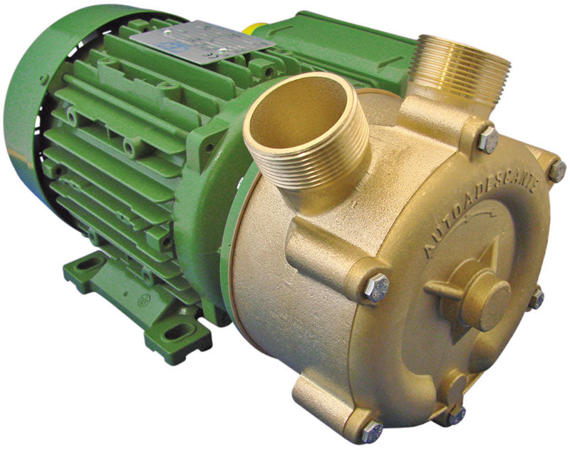 Seitenkanalpumpe, 400 Volt, Bronze, 60 l/min, selbstansaugend, Drehrichtungsumkehr
