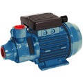 Kreiselpumpe für Wasser mit 230 Volt Antrieb.